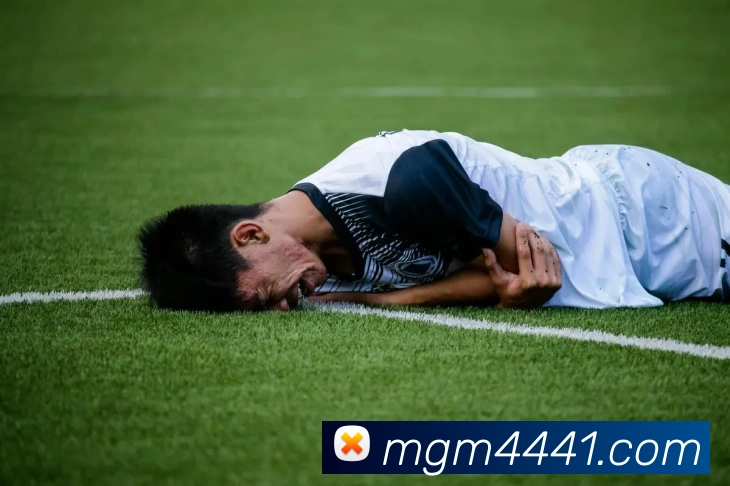 赛事专题整合